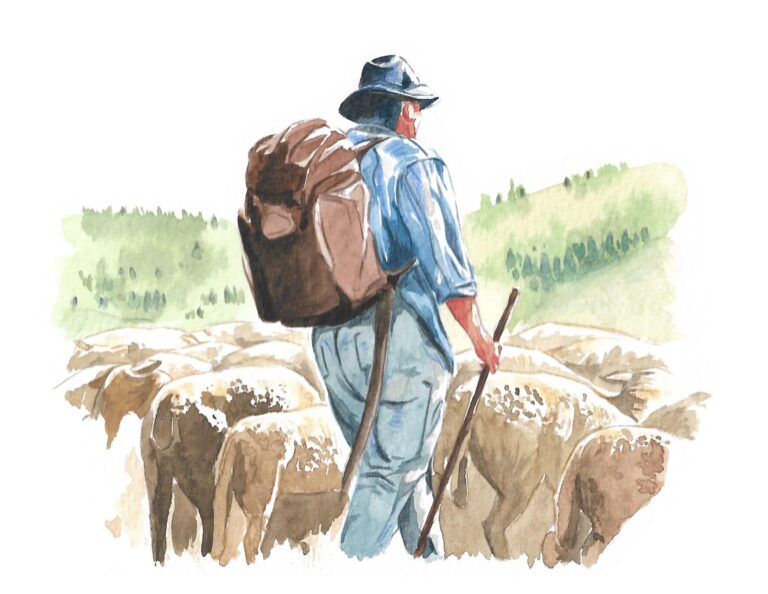 Berger et son troupeau, aquarelle