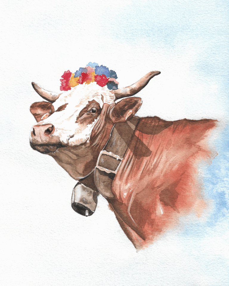 Portrait abondance de fête, aquarelle