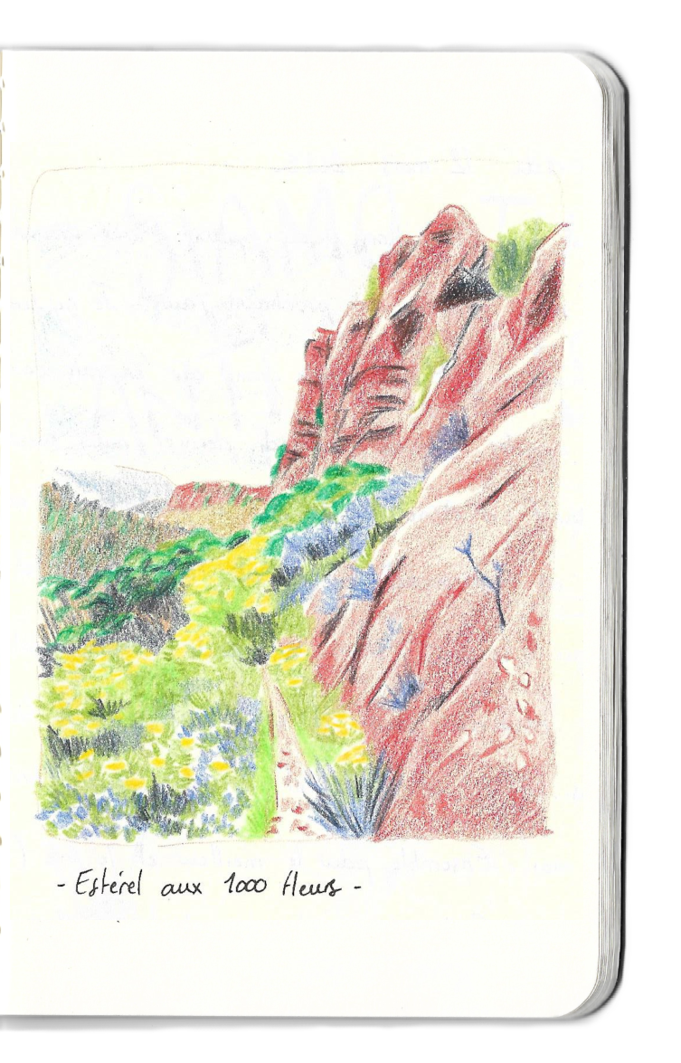 Carnet dessins paysage esterel fleurs